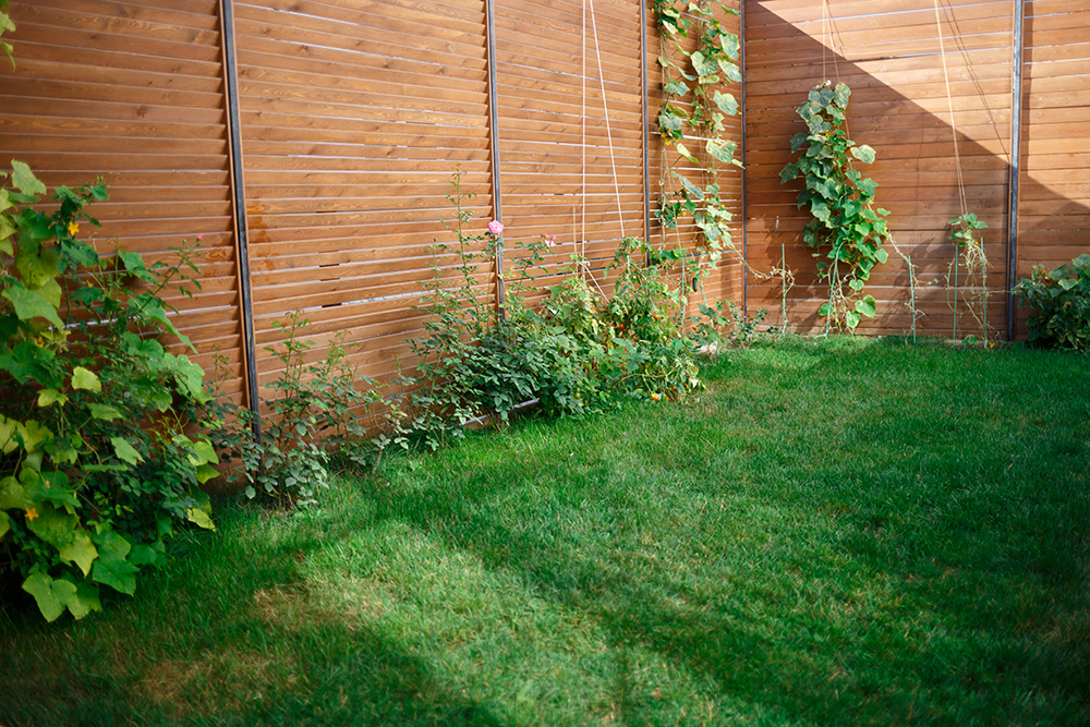 Luxora by R3 provide landscaping and fencing for garden room installations in Hampshire and West Sussex