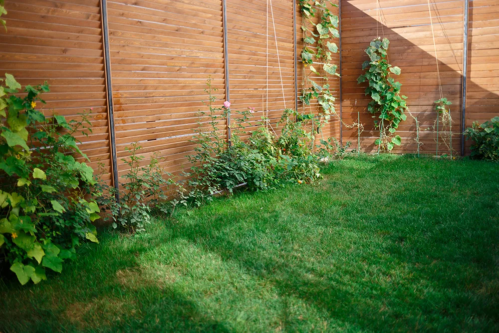 Luxora by R3 provide landscaping and fencing for garden room installations in Hampshire and West Sussex