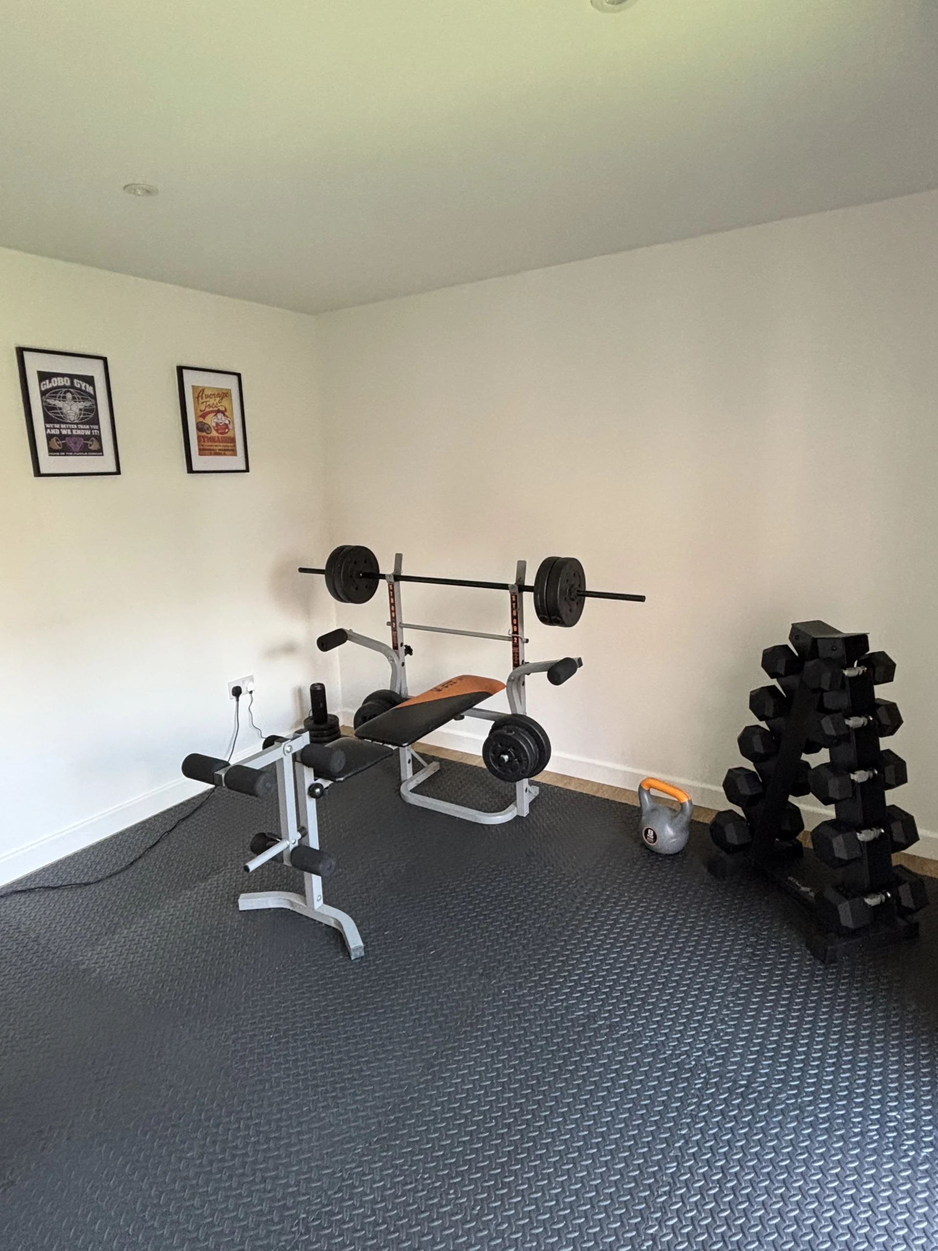 Worthing Garden Room Installation by Luxora – Garden Gym 2